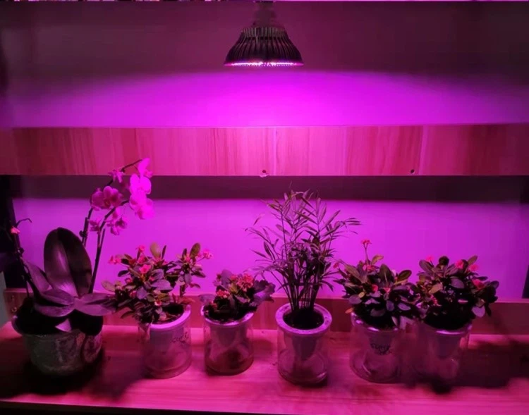 LED lights bulb LED lights bulb