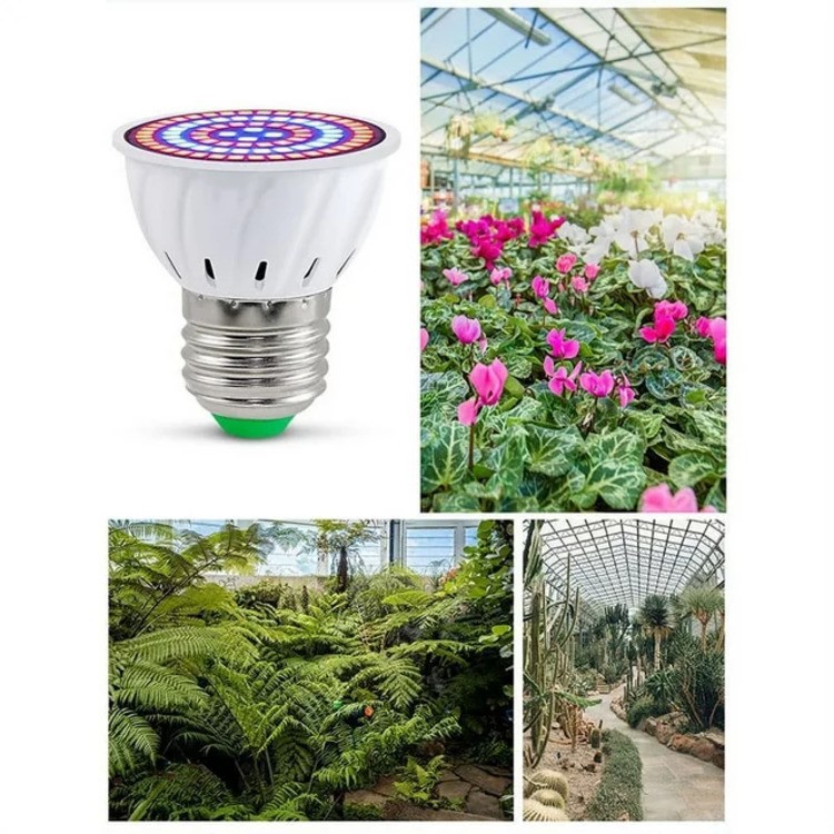 E27 80 Plant Grow Lamp 4 E27 80 Plant Grow Lamp 4