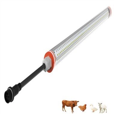 পোল্ট্রি হাউজিং জন্য আলো