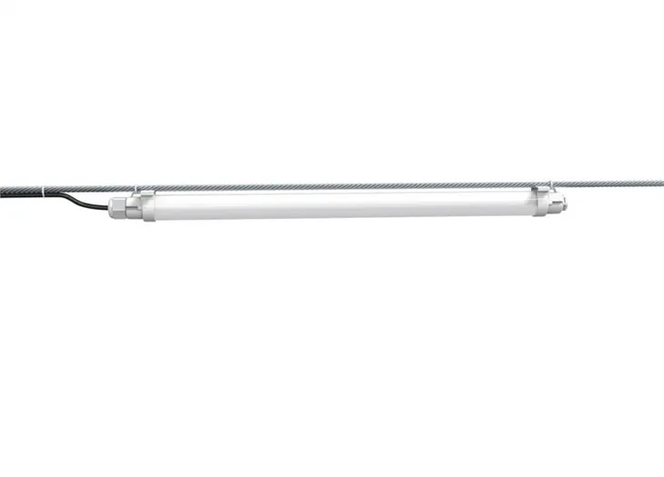 টাইমারের সাথে চিকেন লাইট