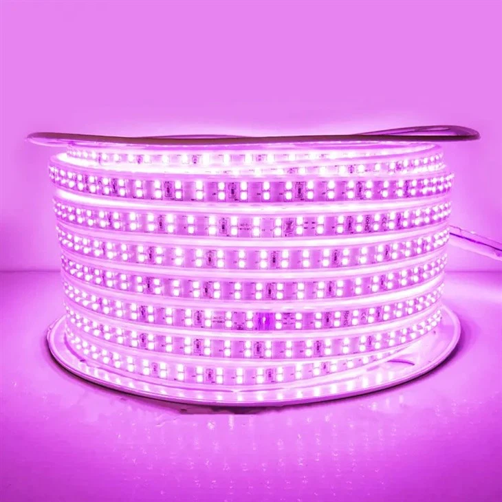 Led Strip 10m