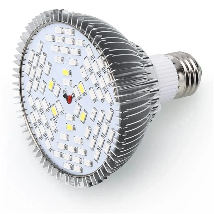 led daylight bulbs for plants