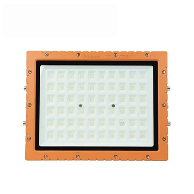 100W LED বিস্ফোরণ-প্রুফ ফ্লাডলাইট