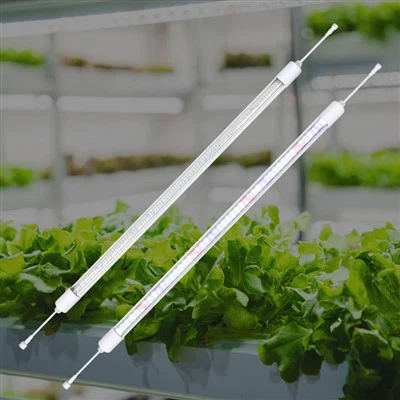 শীতের জন্য গ্রিনহাউস লাইট