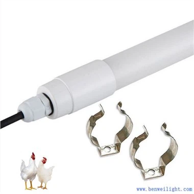 পোল্ট্রি হাউস জন্য LED আলো