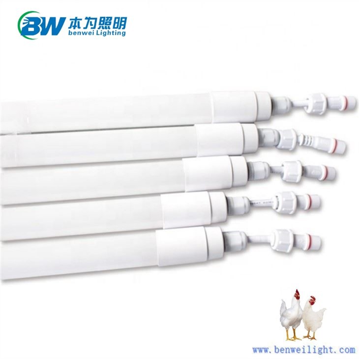 0-12V Dimmable 3100K 12W Chicken Light