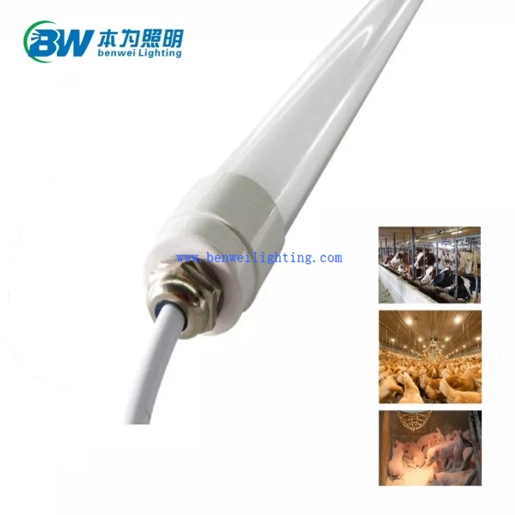 0-12V Dimmable 5000K 12W Chicken Light