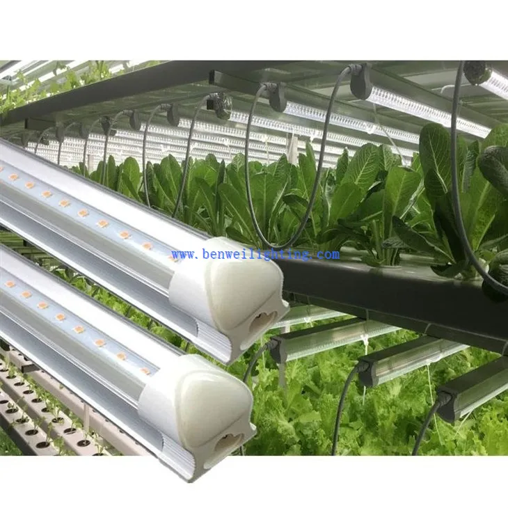 full spectrum grow lights