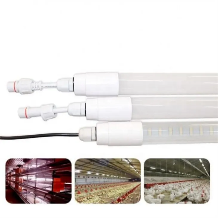 chicken coop lighting kit