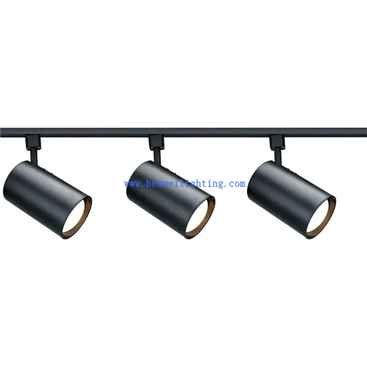 Black Track Light (3)