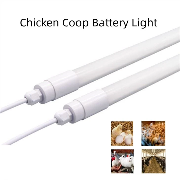 Chicken Light With 0-12V 5400K 12W 8W