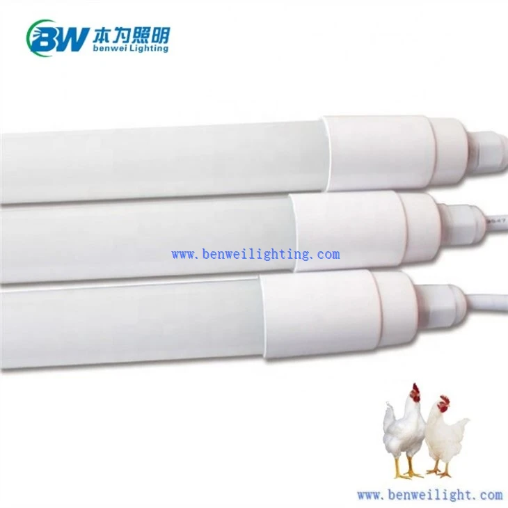 Chicken Light With 0-12V 5400K 12W 8W