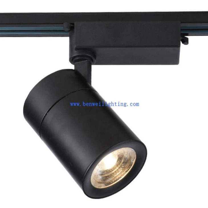 Directional Track Light