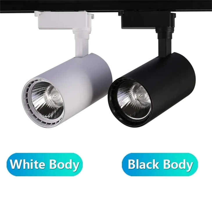 Directional Track Light