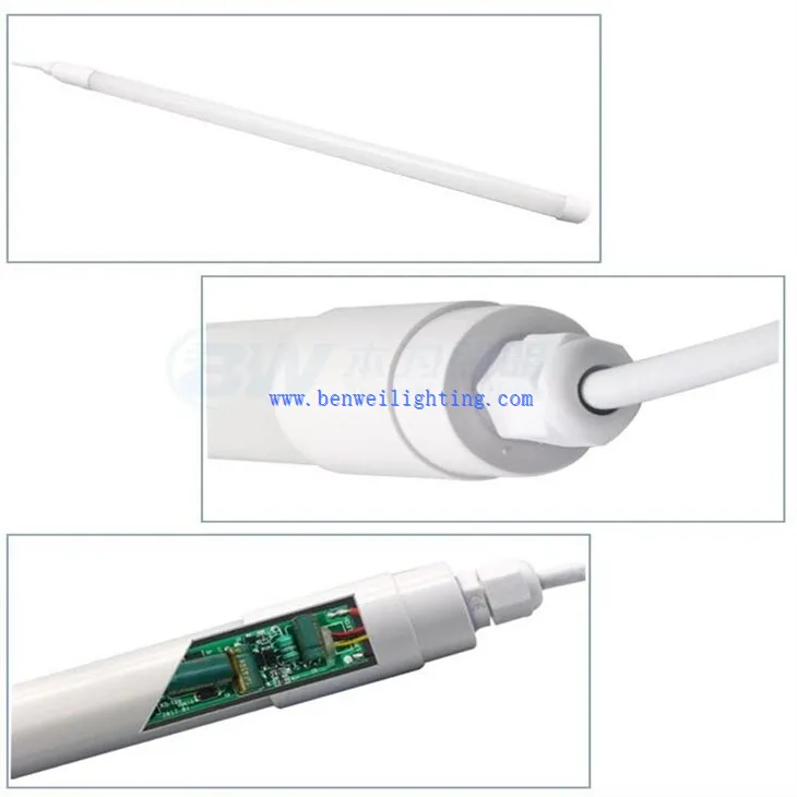 Egg Laying Poultry Light (5)