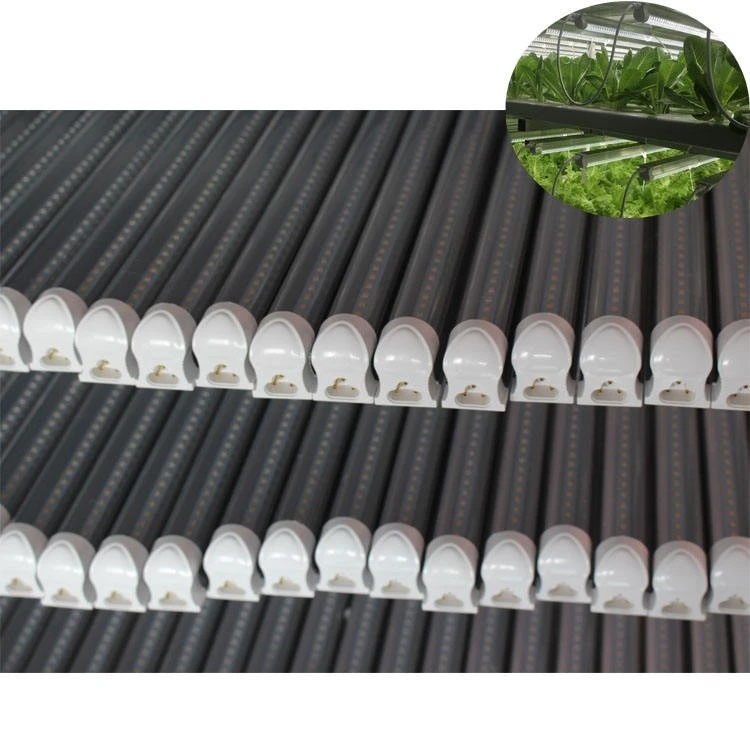 grow lights for indoor plants grow lights for indoor plants
