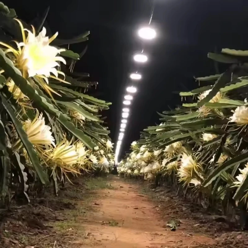 Fruit LED Grow Bulb Light - Fruit LED Grow Bulb Light -