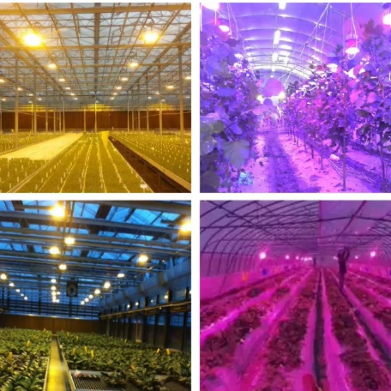 Indoor E27 Full Spectrum Led Bulb Grow Lighting Indoor E27 Full Spectrum Led Bulb Grow Lighting