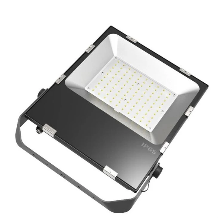 IP65 Aluminum LED Floodlight best