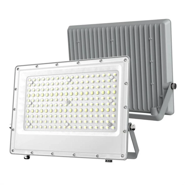 LED Floodlight Ant Model Lens