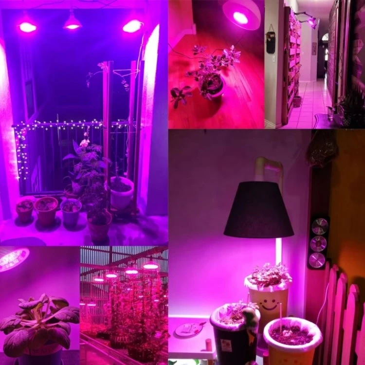 660nm IP65 Waterproof LED Grow Lights