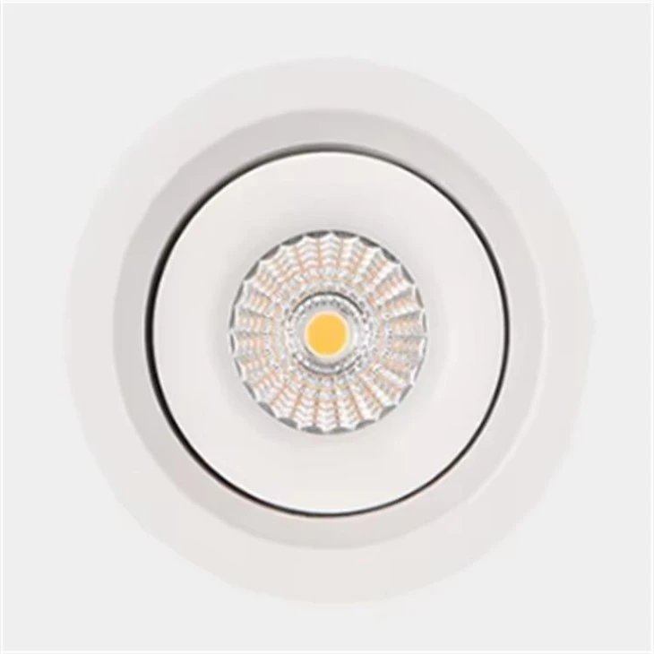 Recessed Adjustable Downlight IP44 Led Cob Down Light