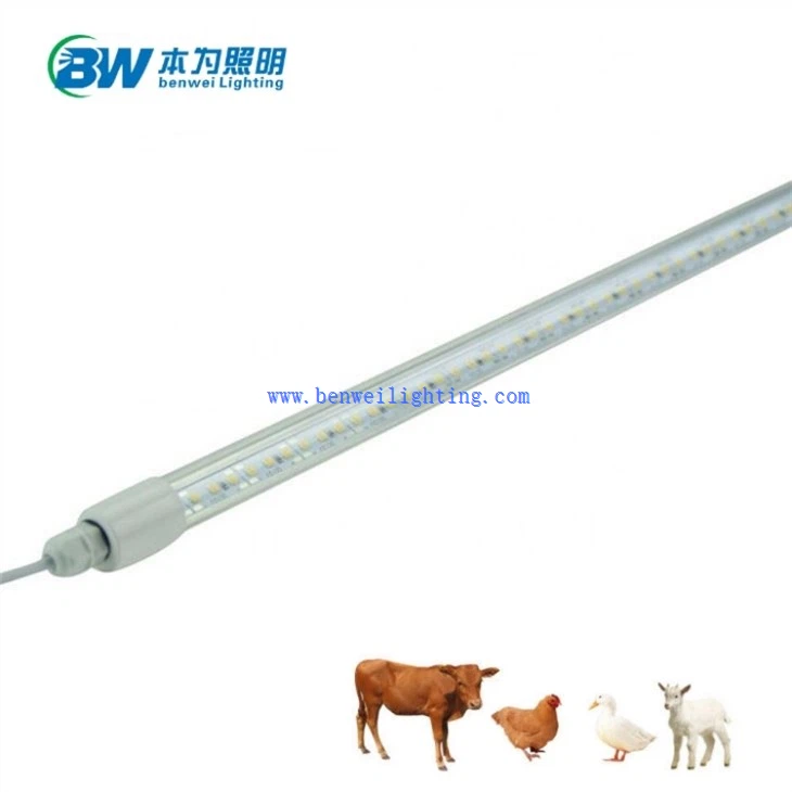 light with timer for chicken coop