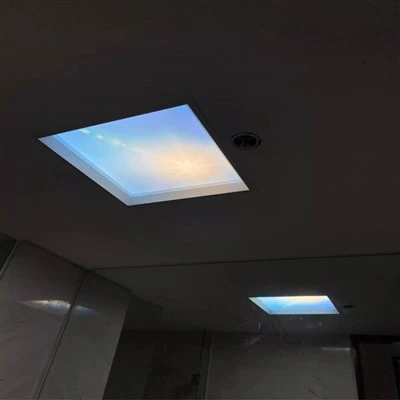 60*60 40W ব্লু স্কাই লেড প্যানেল লাইট