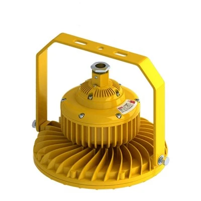 বিস্ফোরণ প্রমাণ LED ফ্লাড লাইট 100W